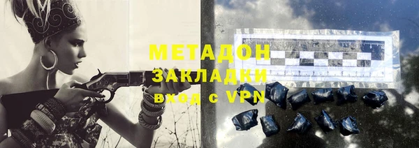 крисы Корсаков