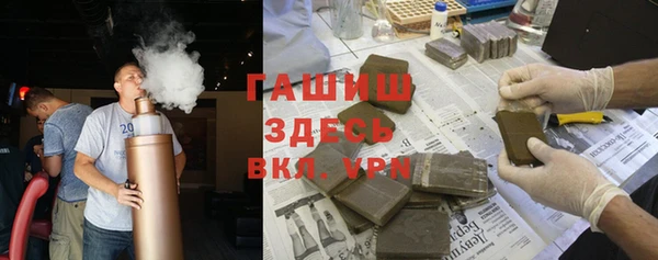 сатива Коряжма
