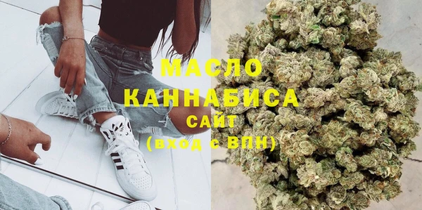 сатива Коряжма