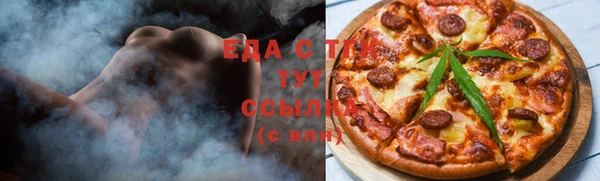 крисы Корсаков