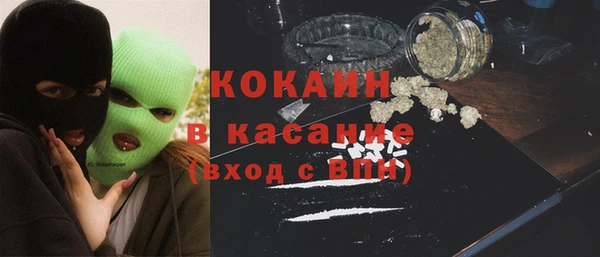 сатива Коряжма