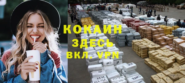 сатива Коряжма