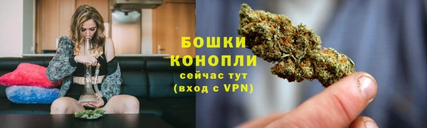 крисы Корсаков