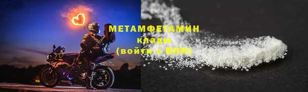 сатива Коряжма