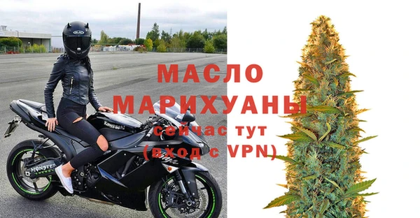 крисы Корсаков