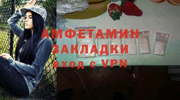 крисы Корсаков