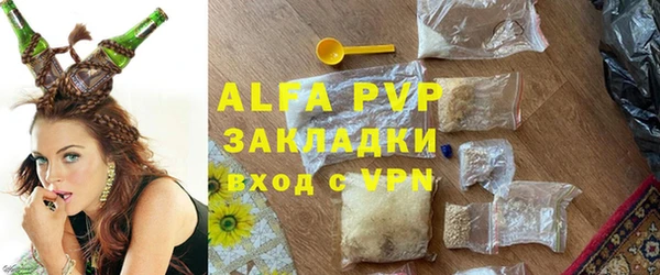сатива Коряжма