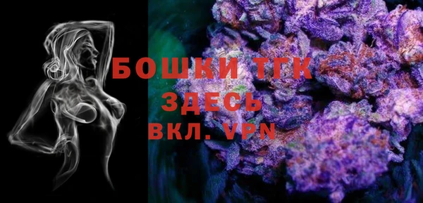 крисы Корсаков