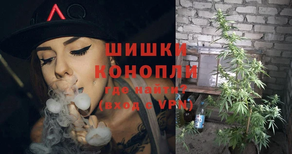 сатива Коряжма