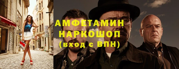 крисы Корсаков