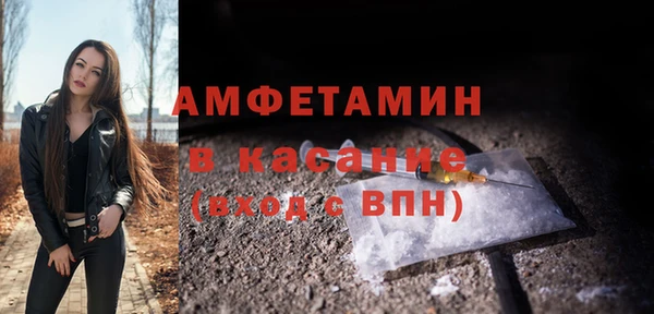 крисы Корсаков