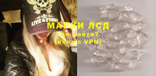 сатива Коряжма