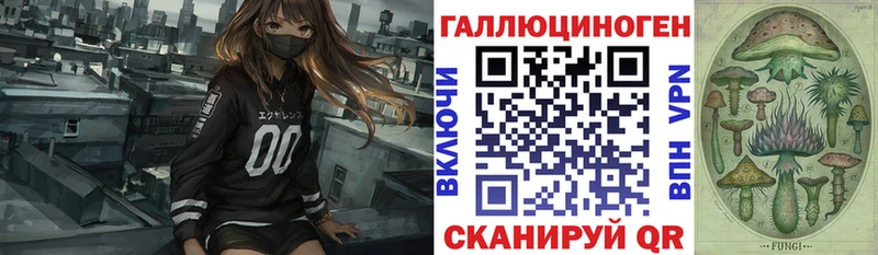 Псилоцибиновые грибы Psilocybe  Купить где  Бакал 